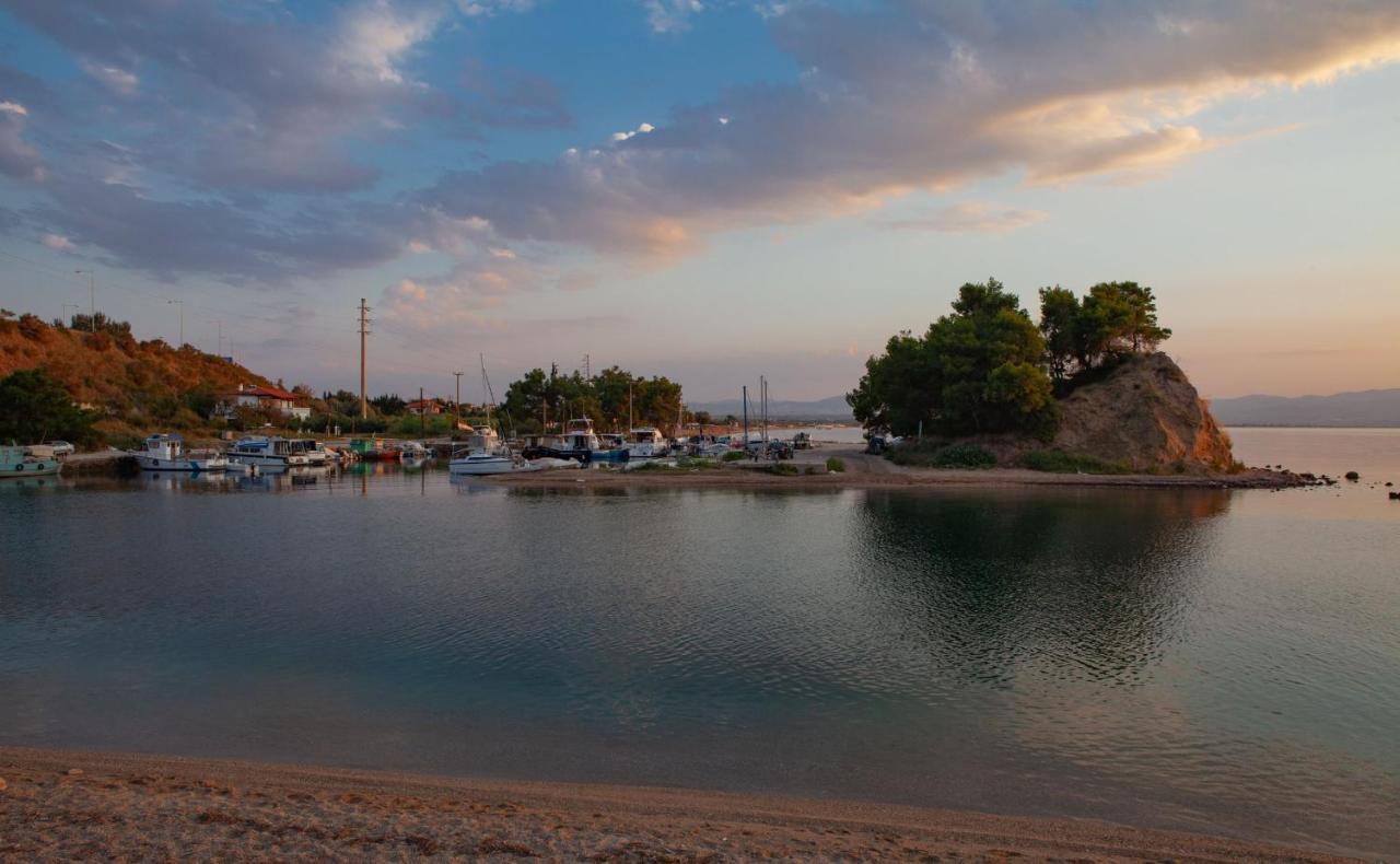 Villa Panorama Hotel Polychrono Dış mekan fotoğraf
